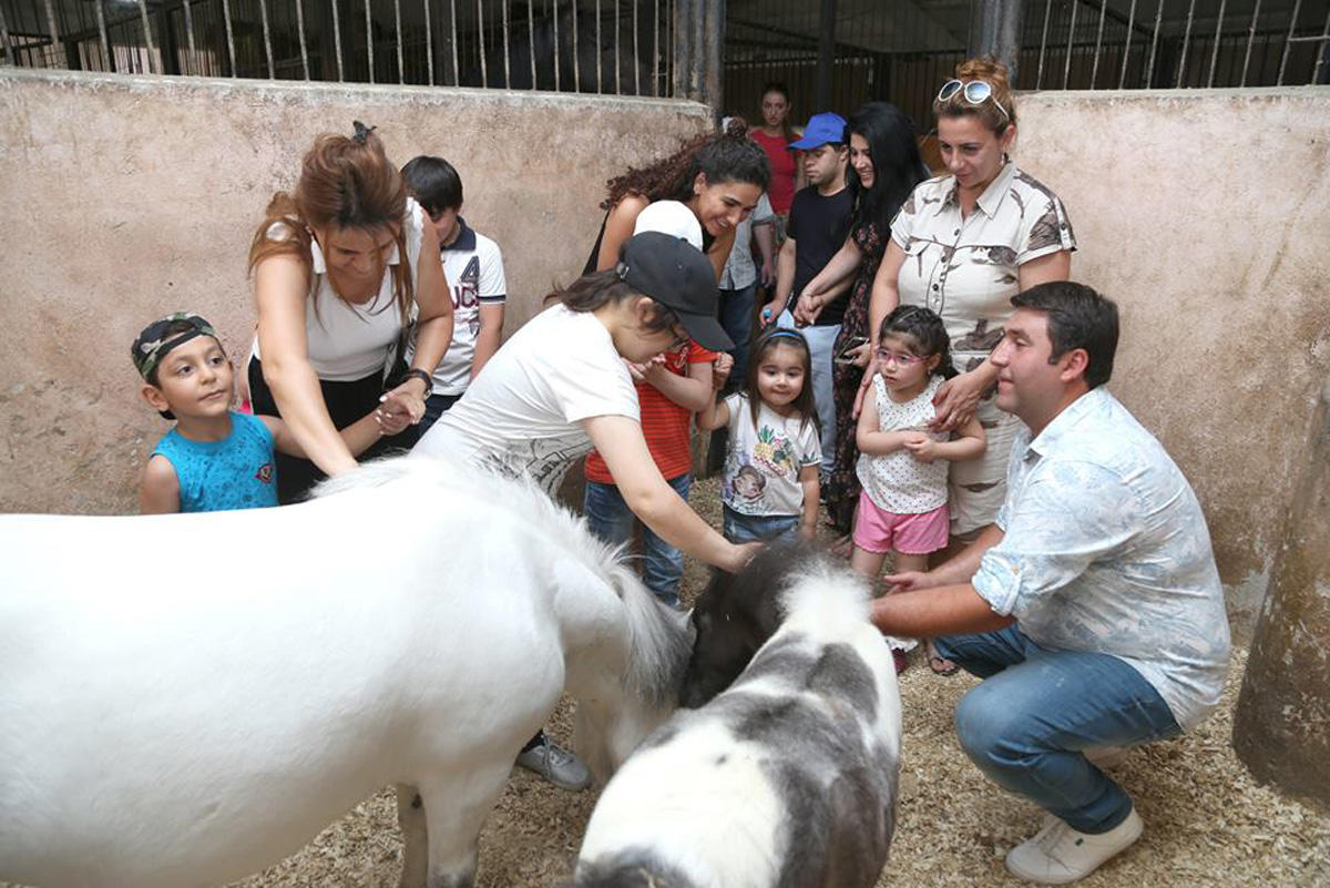 Дети с синдромом Дауна и ДЦП провели акцию в поддержку Гаджи Нурана Гусейнова (ФОТО)