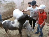 Дети с синдромом Дауна и ДЦП провели акцию в поддержку Гаджи Нурана Гусейнова (ФОТО)