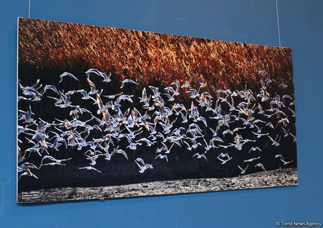 Открытие Дней культуры Ирана в Азербайджане – национальные костюмы, изделия ручной работы (ФОТО)