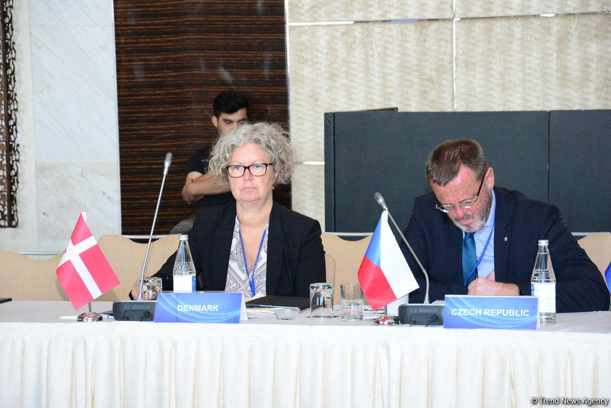 МИД Азербайджана: Международная контактная группа заинтересована в сотрудничестве по решению конфликта в Афганистане (ФОТО)