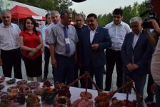 Путешествие на правый берег реки Кура - в Сальян и Сабирабад (ФОТО)