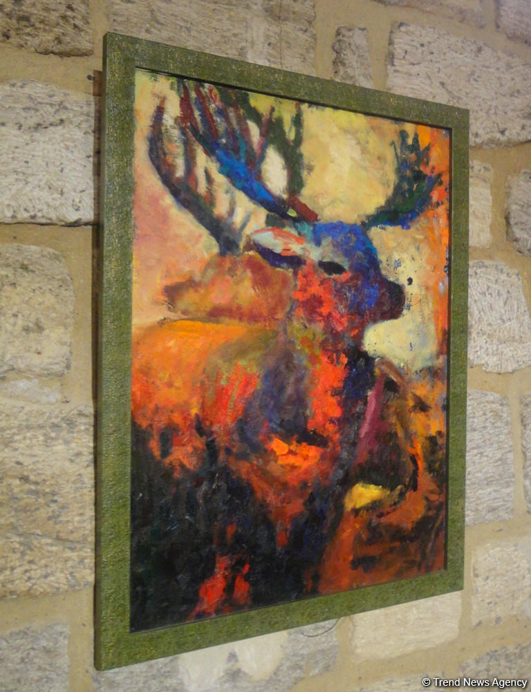 Как говорят глаза... показали в Баку (ФОТО)