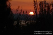 Будь счастливым на чистой Земле! Азербайджан глазами Георгия Богословского (ФОТО)