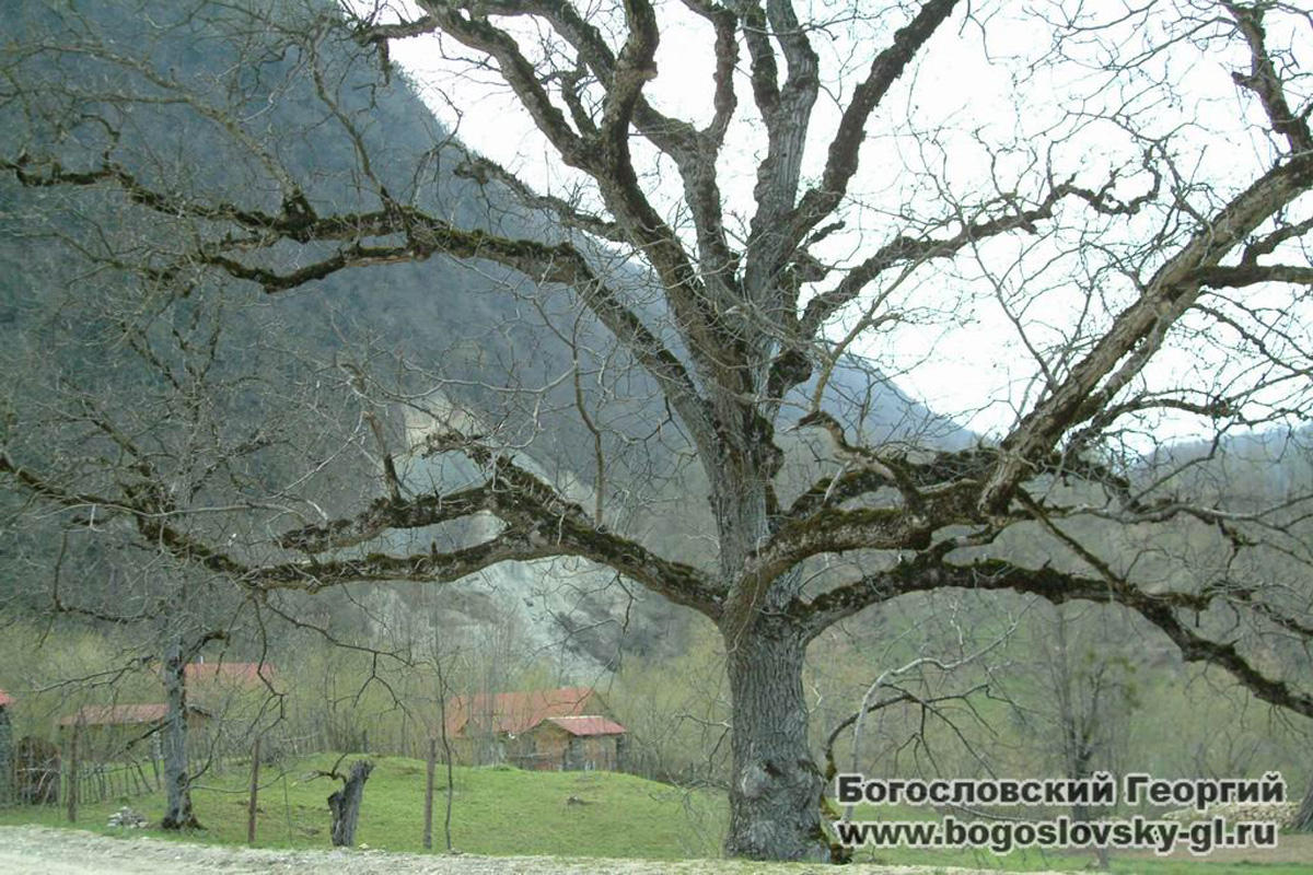 Будь счастливым на чистой Земле! Азербайджан глазами Георгия Богословского (ФОТО)