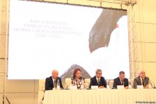 При поддержке Фонда Гейдара Алиева началась реализация проекта по усовершенствованию работы с бездомными собаками (ФОТО)