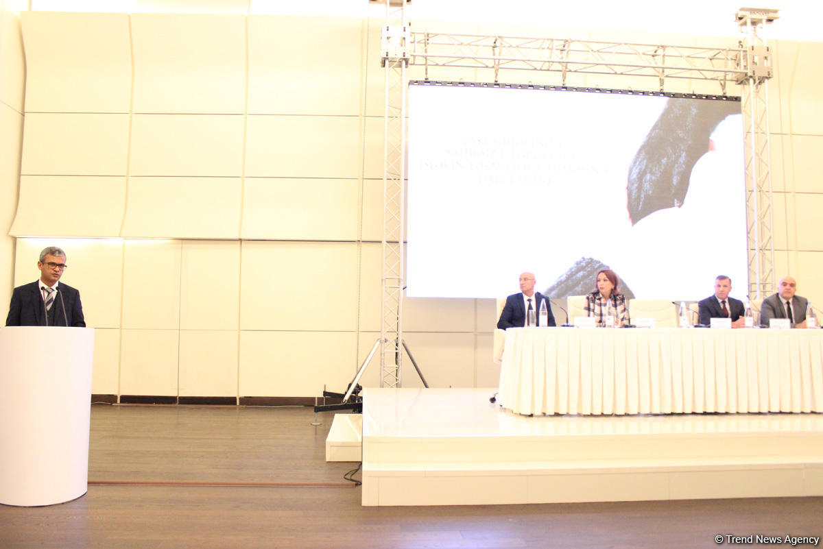 При поддержке Фонда Гейдара Алиева началась реализация проекта по усовершенствованию работы с бездомными собаками (ФОТО)