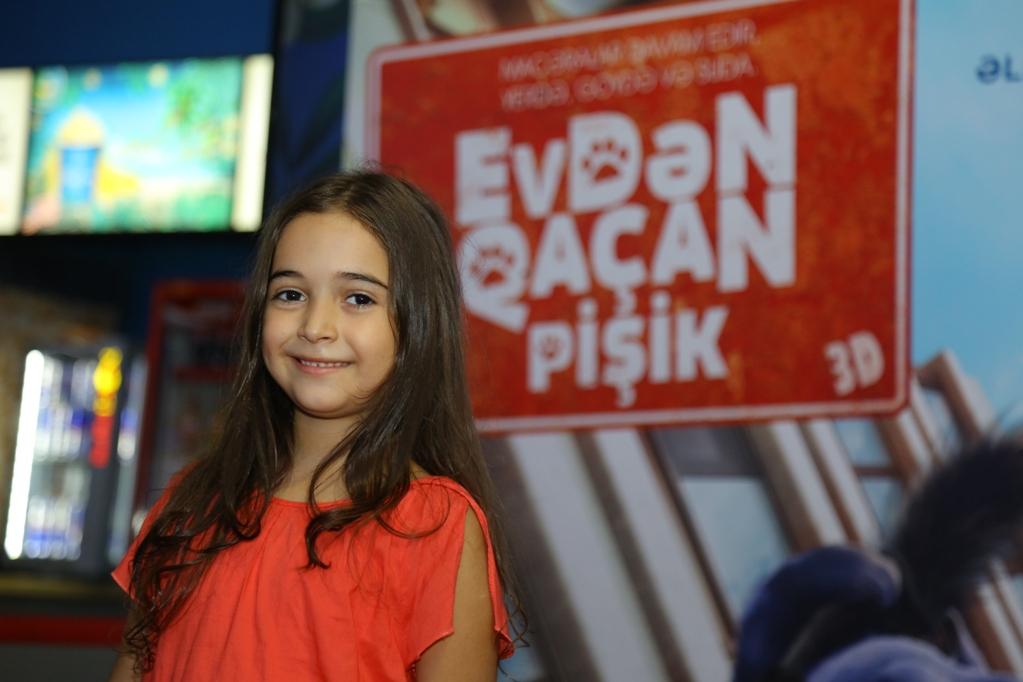 В Баку пытались поймать летающего кота (ВИДЕО, ФОТО)