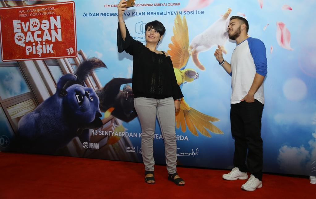 В Баку пытались поймать летающего кота (ВИДЕО, ФОТО)