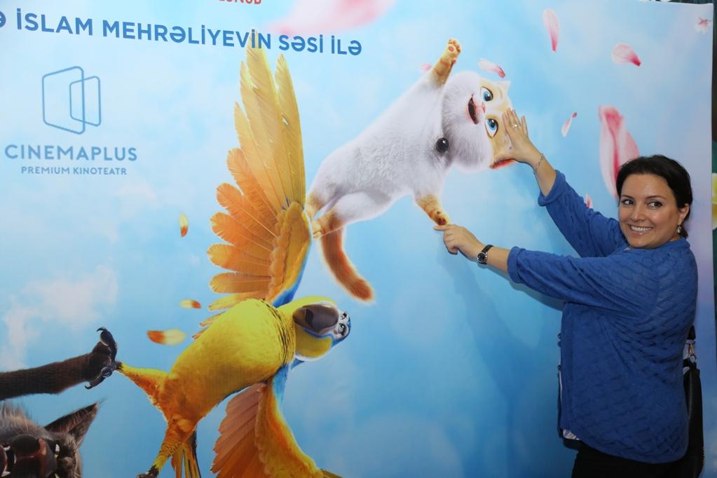 В Баку пытались поймать летающего кота (ВИДЕО, ФОТО)