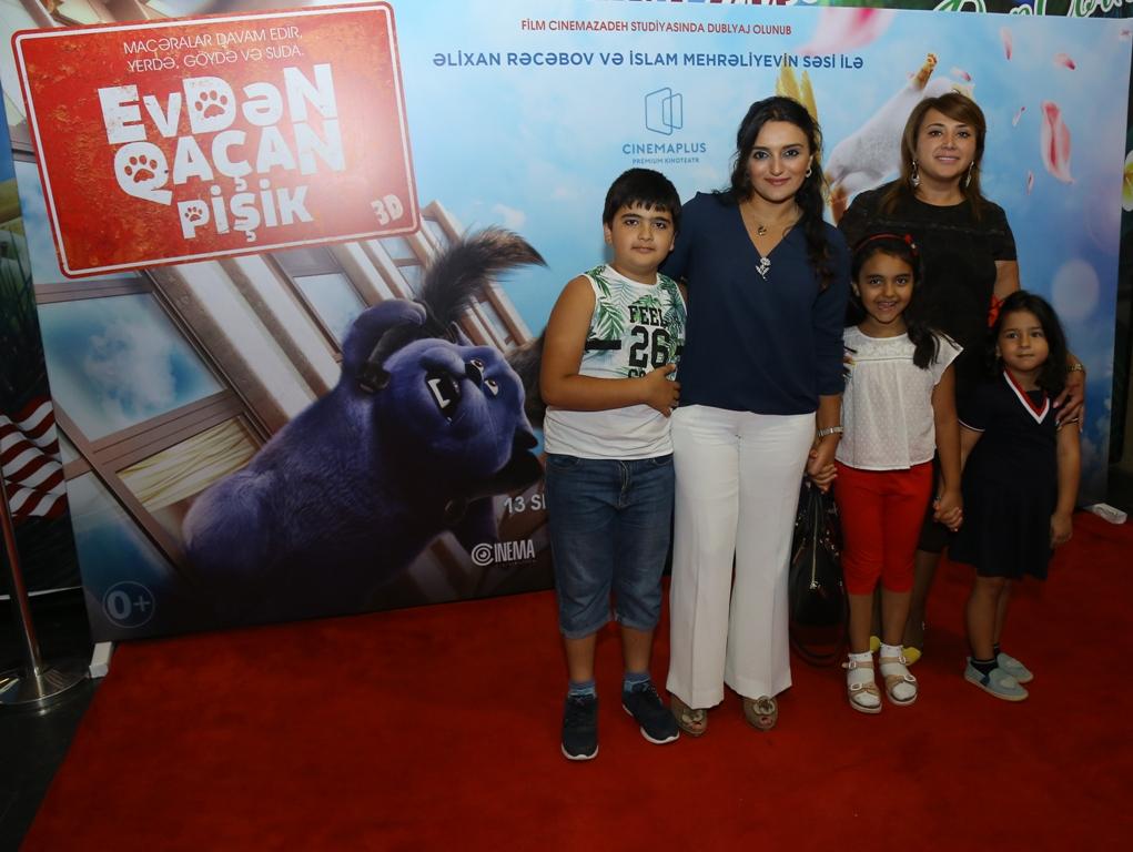 В Баку пытались поймать летающего кота (ВИДЕО, ФОТО)