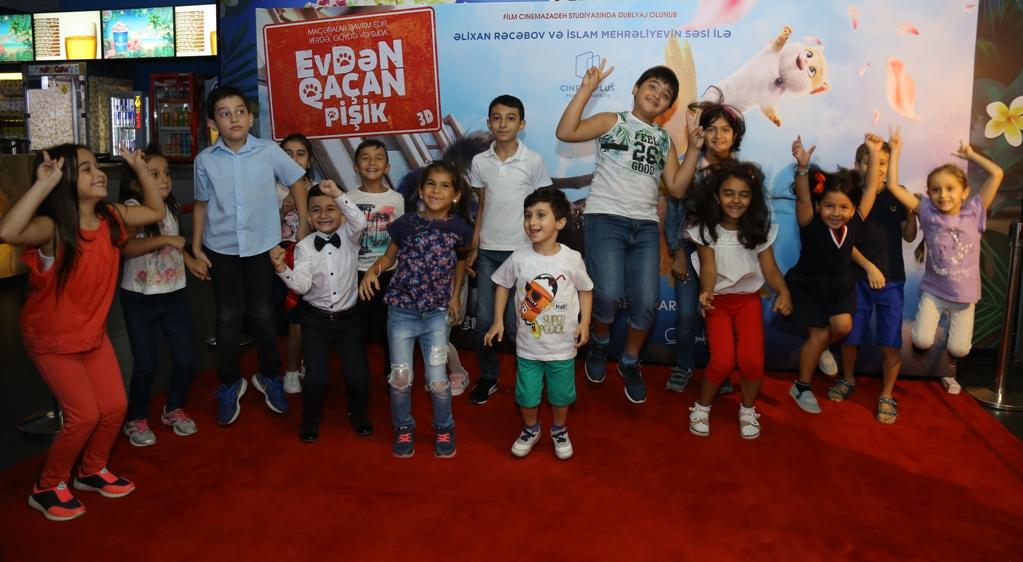 В Баку пытались поймать летающего кота (ВИДЕО, ФОТО)