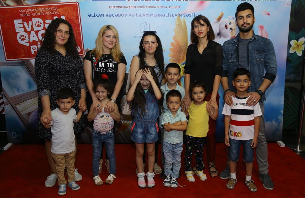 В Баку пытались поймать летающего кота (ВИДЕО, ФОТО)