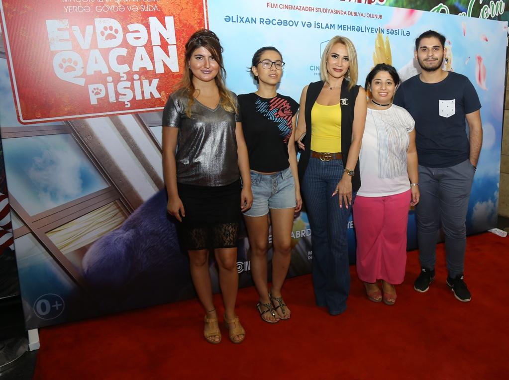 В Баку пытались поймать летающего кота (ВИДЕО, ФОТО)