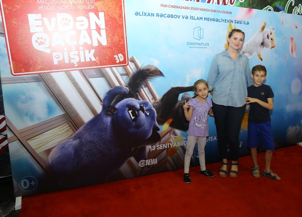 В Баку пытались поймать летающего кота (ВИДЕО, ФОТО)