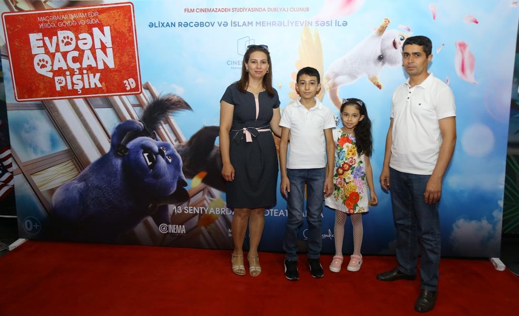 В Баку пытались поймать летающего кота (ВИДЕО, ФОТО)