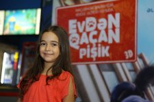 В Баку пытались поймать летающего кота (ВИДЕО, ФОТО)