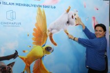 В Баку пытались поймать летающего кота (ВИДЕО, ФОТО)