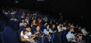 В Баку пытались поймать летающего кота (ВИДЕО, ФОТО)