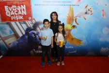 В Баку пытались поймать летающего кота (ВИДЕО, ФОТО)