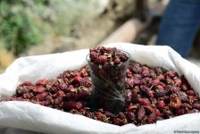 Путешествие в удивительный Лахыдж – от шапки Мономаха до Великого шелкового пути (ФОТО)