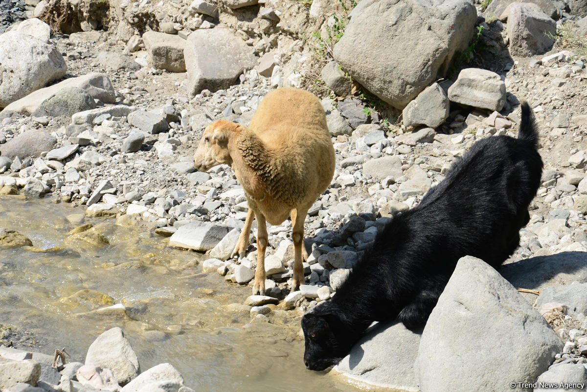 Путешествие в удивительный Лахыдж – от шапки Мономаха до Великого шелкового пути (ФОТО)