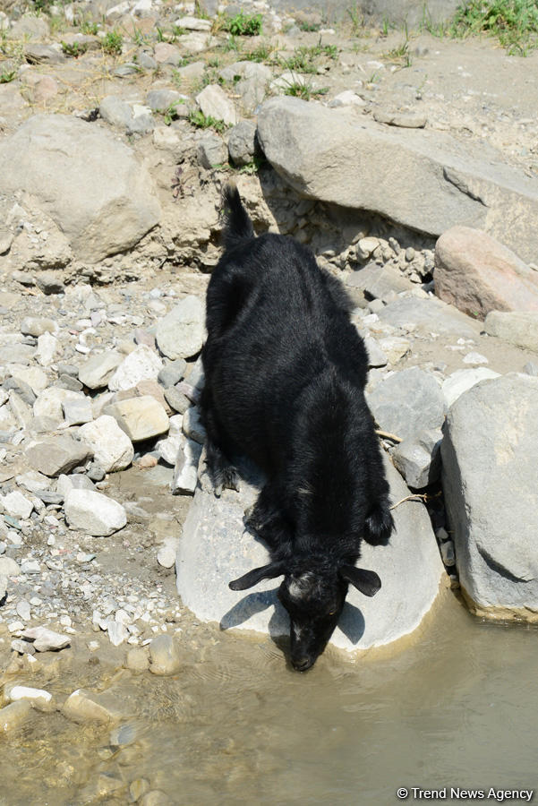 Путешествие в удивительный Лахыдж – от шапки Мономаха до Великого шелкового пути (ФОТО)