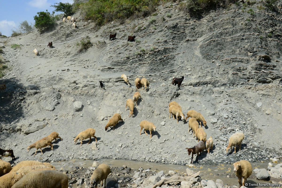 Путешествие в удивительный Лахыдж – от шапки Мономаха до Великого шелкового пути (ФОТО)