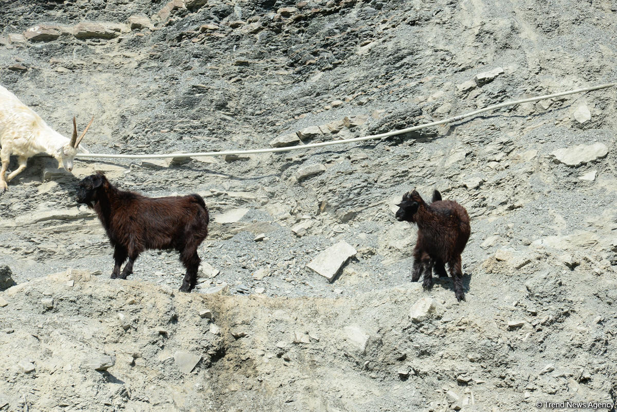 Путешествие в удивительный Лахыдж – от шапки Мономаха до Великого шелкового пути (ФОТО)