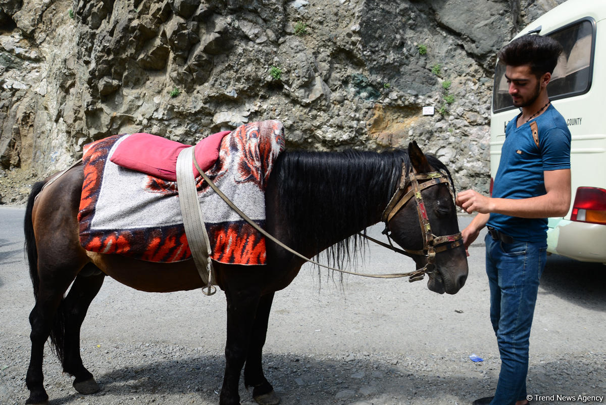 Путешествие в удивительный Лахыдж – от шапки Мономаха до Великого шелкового пути (ФОТО)