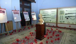 В Баку представлена уникальная историческая экспозиция, усыпанная алыми маками (ФОТО)