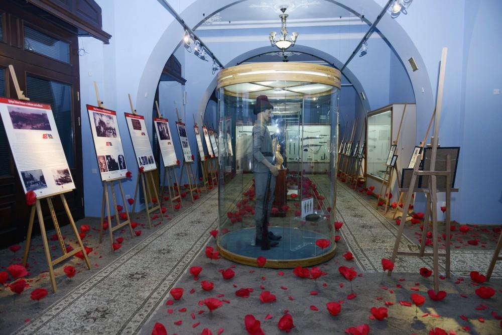 В Баку представлена уникальная историческая экспозиция, усыпанная алыми маками (ФОТО)