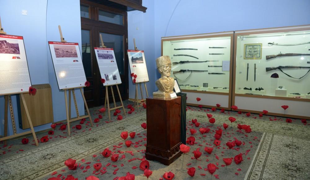 В Баку представлена уникальная историческая экспозиция, усыпанная алыми маками (ФОТО)