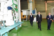 Президент Ильхам Алиев принял участие в открытии предприятия по переработке риса в Масаллы (ФОТО)