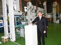 Президент Ильхам Алиев принял участие в открытии предприятия по переработке риса в Масаллы (ФОТО)
