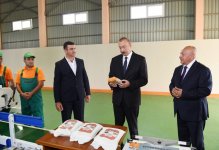 Президент Ильхам Алиев принял участие в открытии предприятия по переработке риса в Масаллы (ФОТО)