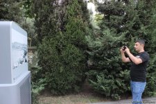 Удивительная история Бакинского бульвара в редких фотографиях с 1861 года (ФОТО)