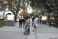 Удивительная история Бакинского бульвара в редких фотографиях с 1861 года (ФОТО)