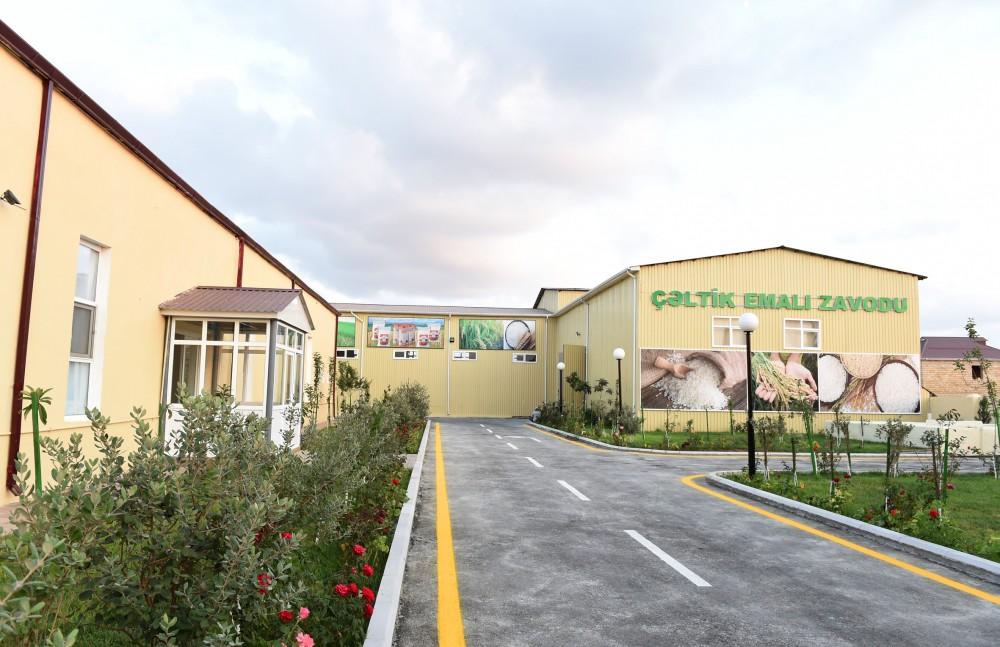 Президент Ильхам Алиев принял участие в открытии предприятия по переработке риса в Масаллы (ФОТО)