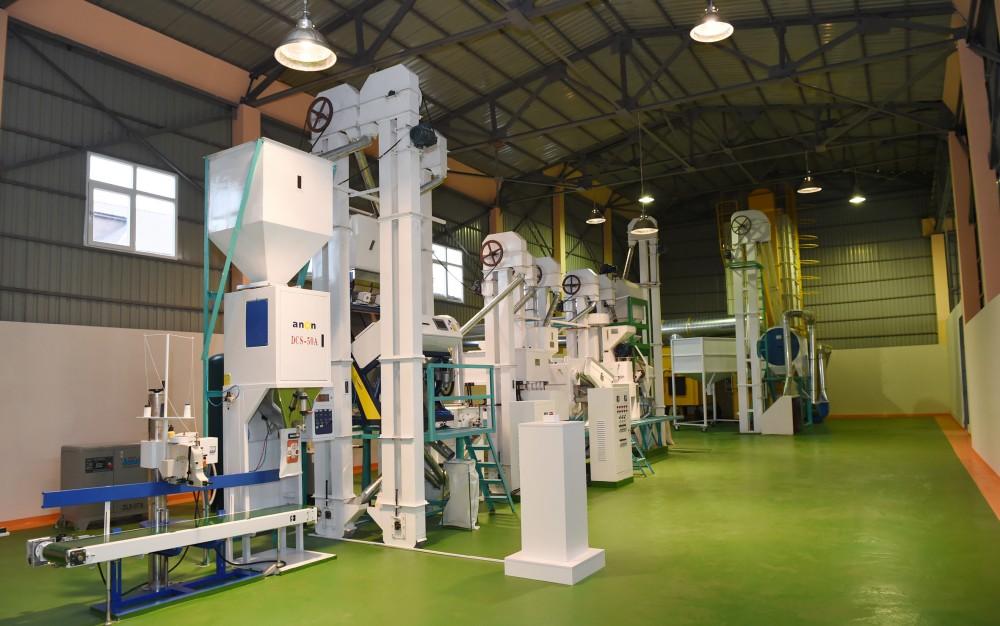 Президент Ильхам Алиев принял участие в открытии предприятия по переработке риса в Масаллы (ФОТО)