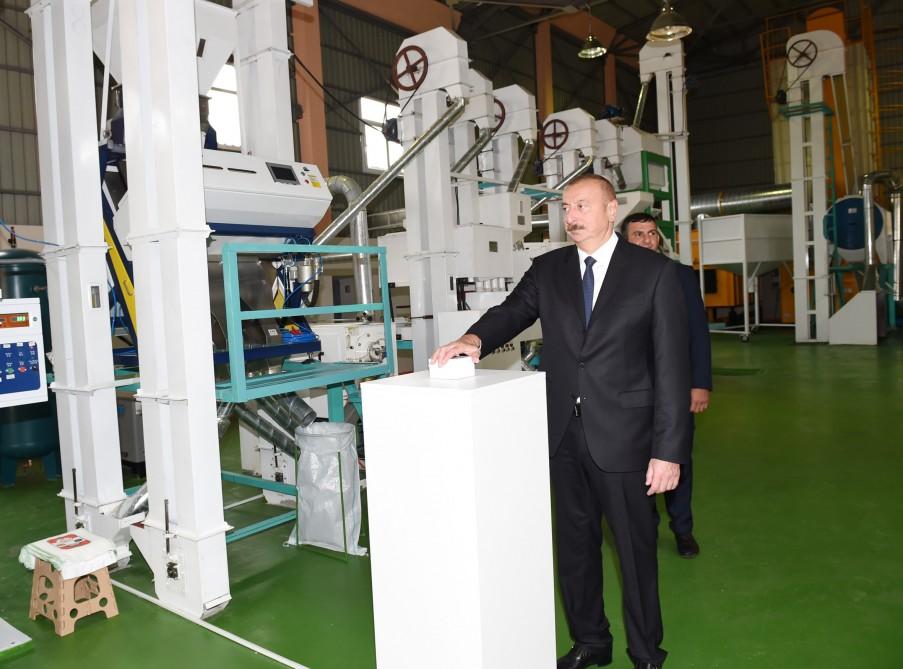 Президент Ильхам Алиев принял участие в открытии предприятия по переработке риса в Масаллы (ФОТО)