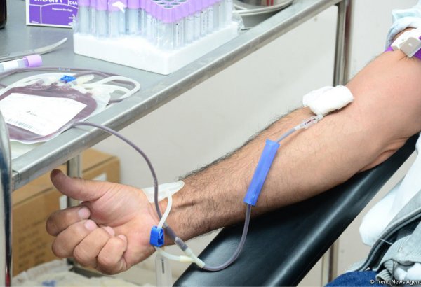 В день Ашура в Азербайджане в донорской акции приняли участие уже более 3500 человек