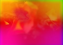 Теймур Даими представил в Киеве проект: Живопись - не мертвый медиум (ФОТО)