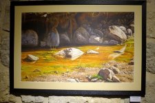 Величественные Анды и река Амазонка появились в Баку (ФОТО)