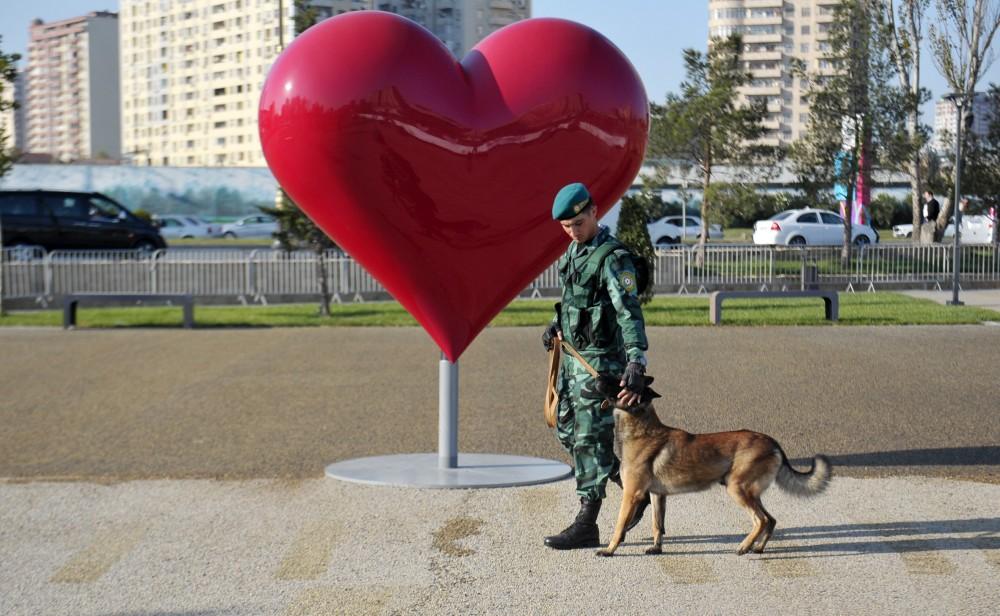 Вице-президент Фонда Гейдара Алиева Лейла Алиева приняла участие в мероприятии, посвященном Всемирному дню защиты животных (ФОТО)