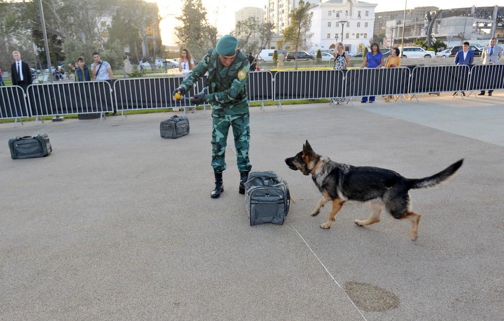 Вице-президент Фонда Гейдара Алиева Лейла Алиева приняла участие в мероприятии, посвященном Всемирному дню защиты животных (ФОТО)