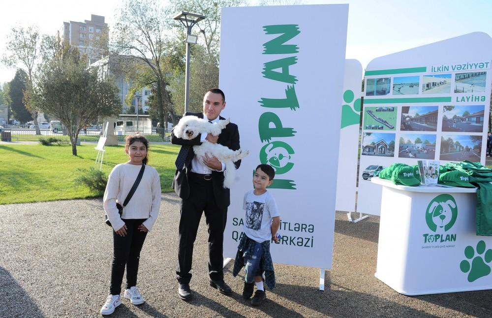 Вице-президент Фонда Гейдара Алиева Лейла Алиева приняла участие в мероприятии, посвященном Всемирному дню защиты животных (ФОТО)