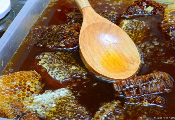 В Баку проходит очередная ярмарка меда (ФОТОРЕПОРТАЖ)