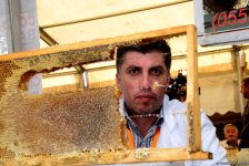 В Баку проходит очередная ярмарка меда (ФОТОРЕПОРТАЖ)