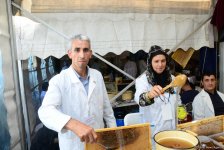 В Баку проходит очередная ярмарка меда (ФОТОРЕПОРТАЖ)