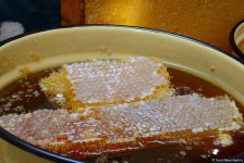 В Баку проходит очередная ярмарка меда (ФОТОРЕПОРТАЖ)